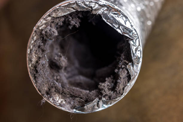 Air Duct Mold Removal in NC